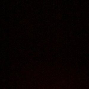 Meet your Posher, Will